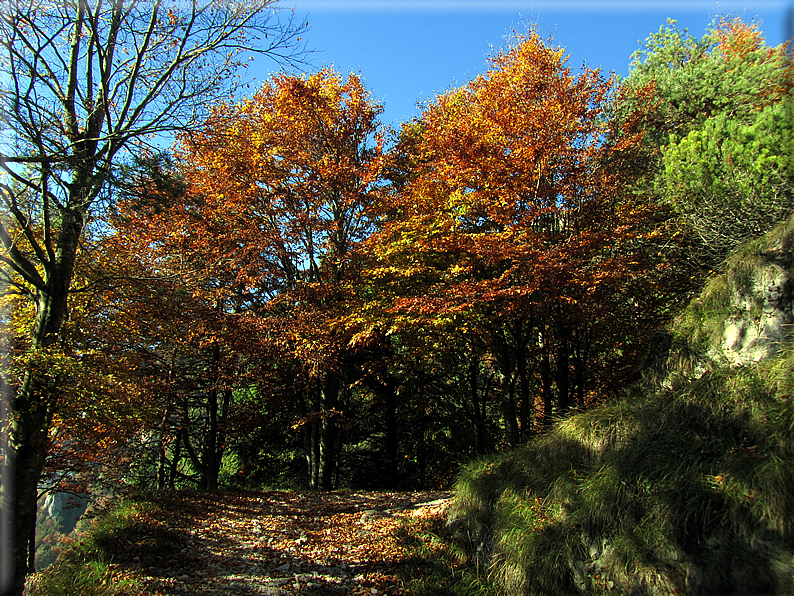 foto Mulatiera del Covolo